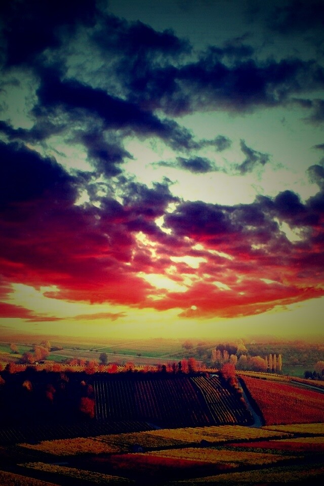 Обработанные земли в пригороде обои