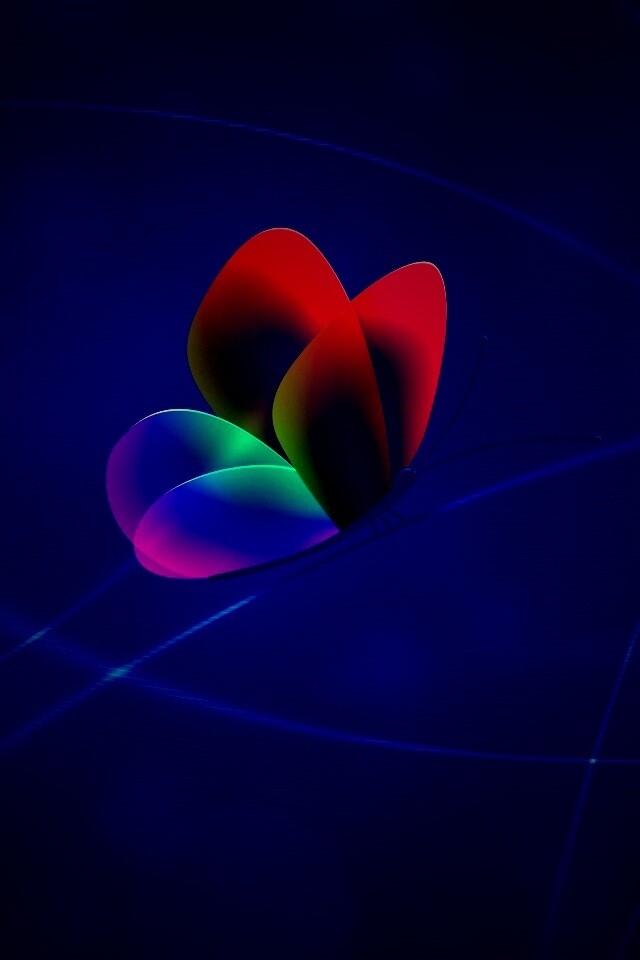 Бабочка с радужными крыльями обои