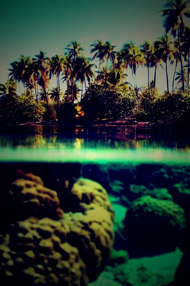 Из-под воды обои