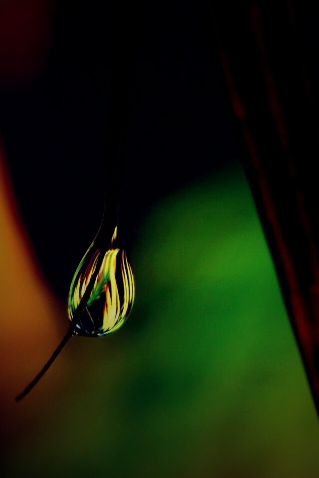 Стекающая капля обои