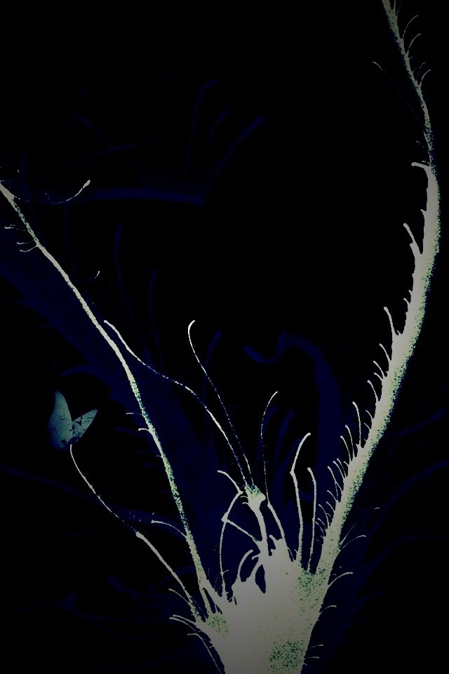 Абстракция из брызг обои