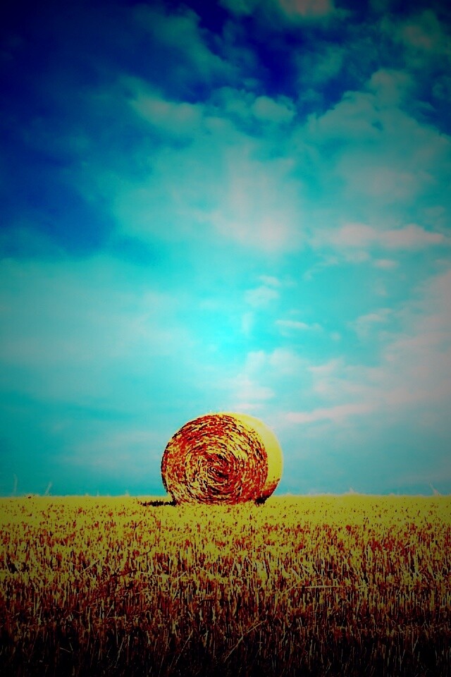 СОломеннынй рулон обои