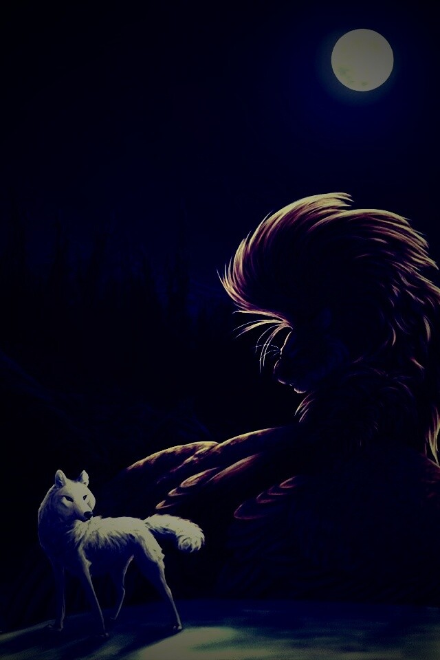 Волк и лев при луне обои