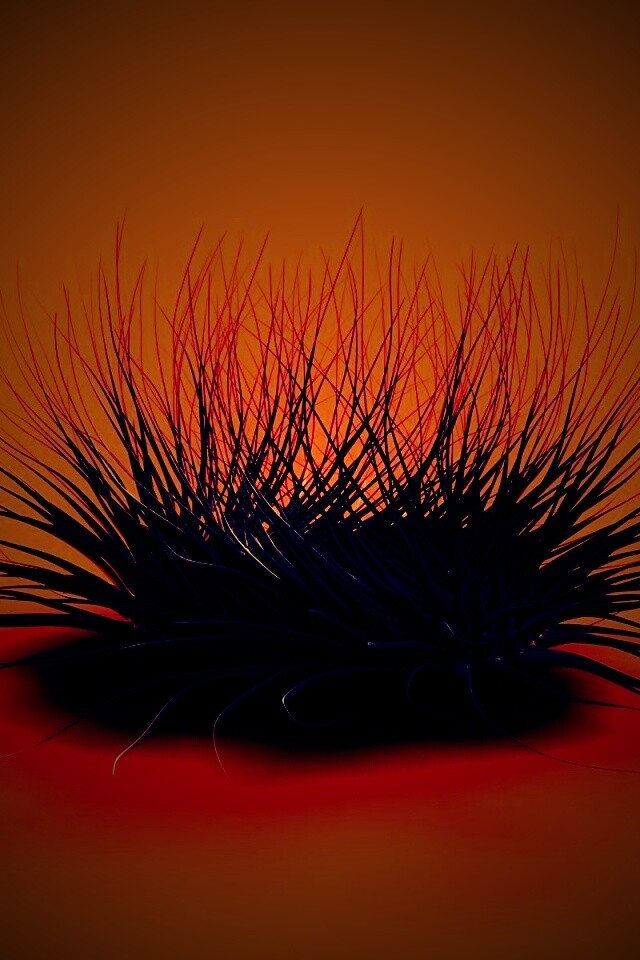 Волосатая мочалка обои