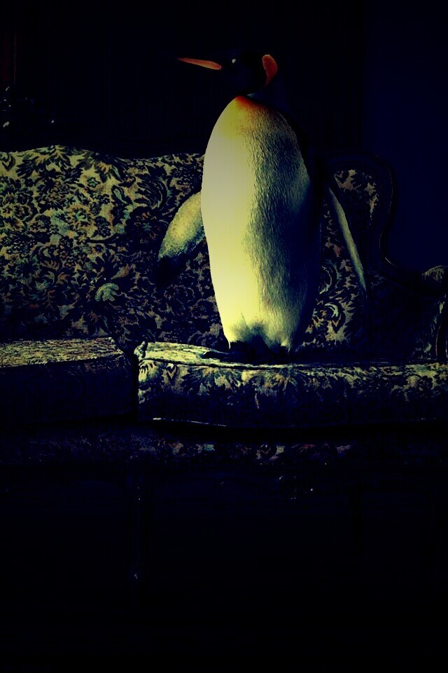 Соседи по дивану обои