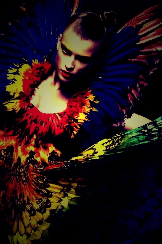 Костюм жар птицы обои