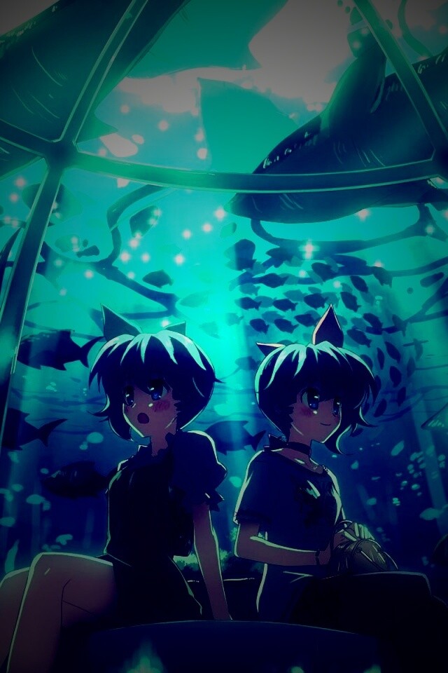 В океанариуме обои