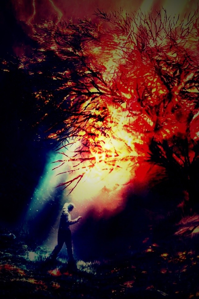 Горящее дерево обои