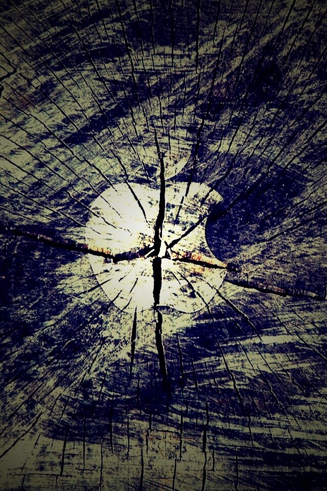 Логотип Apple на бревне обои