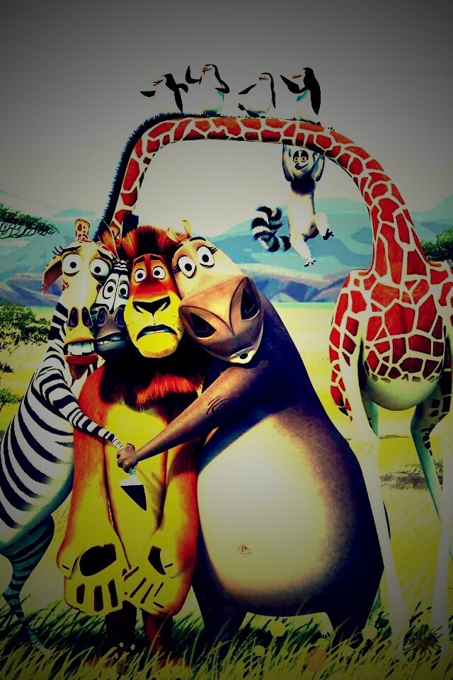 Герои мультфильма Мадагаскар обои