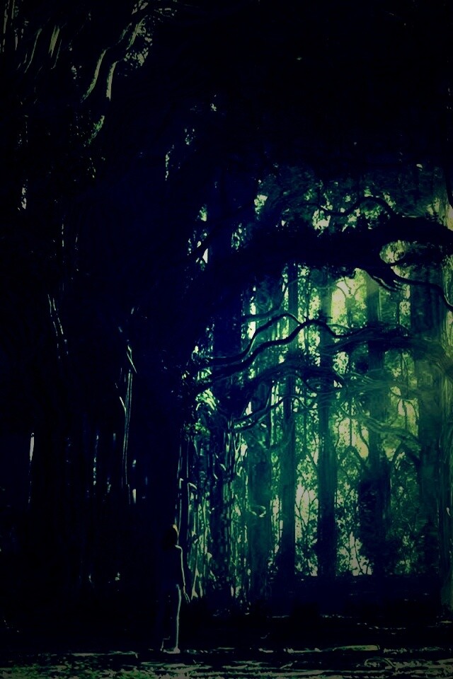 Одна в сумеречном лесу обои