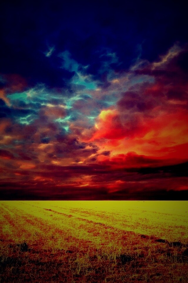 Тучи над желтым полем обои