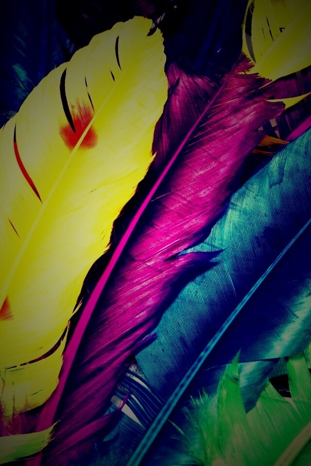 Разноцветные перья обои
