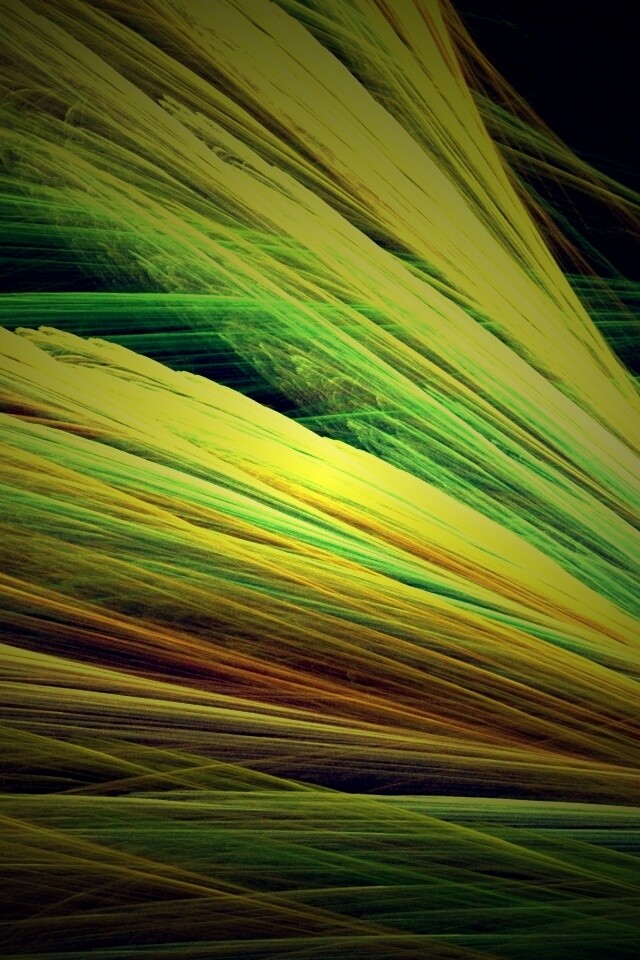 Прозрачные зеленоватые крылья обои