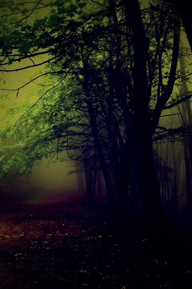 Зеленоватый туман обои