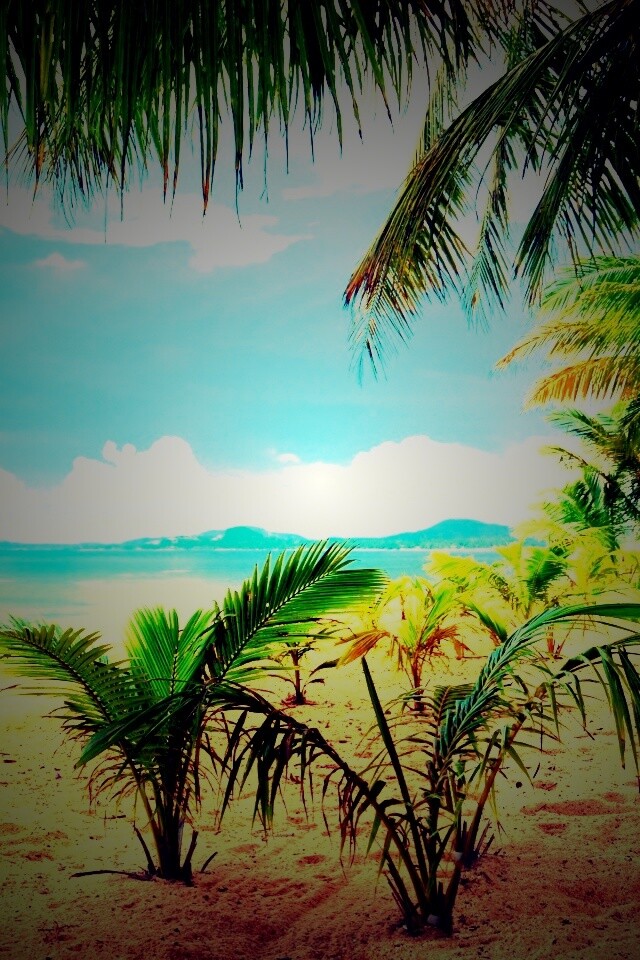 Настоящее лето обои