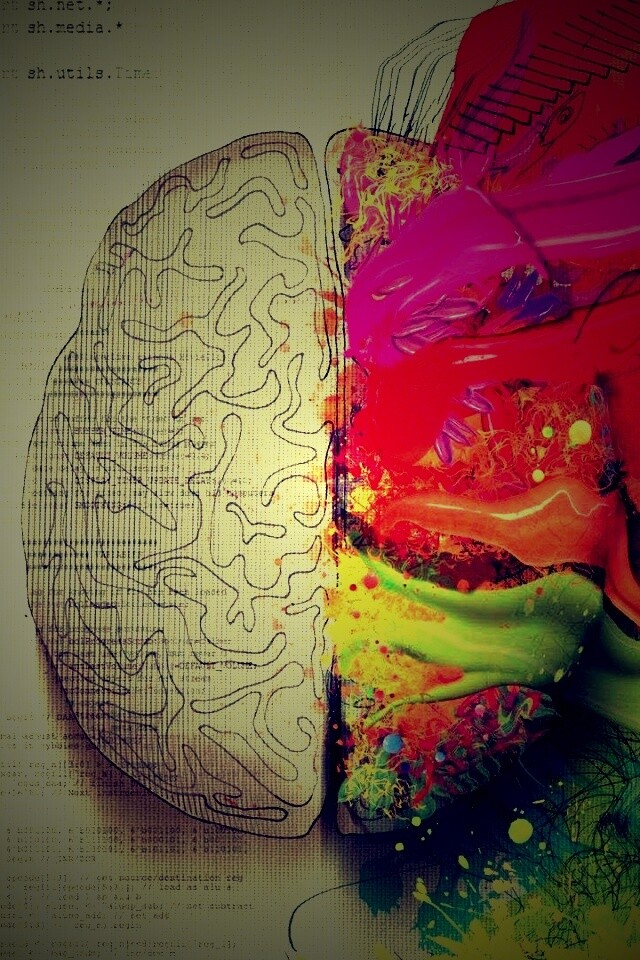 Различия левого и правого полушария обои