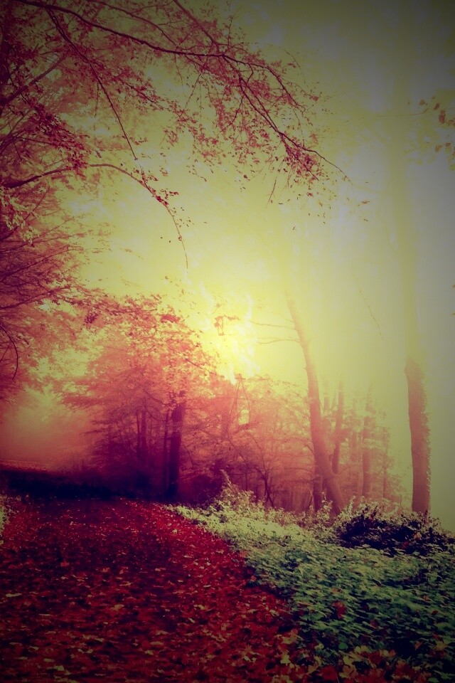 Осенний мистический пейзаж обои