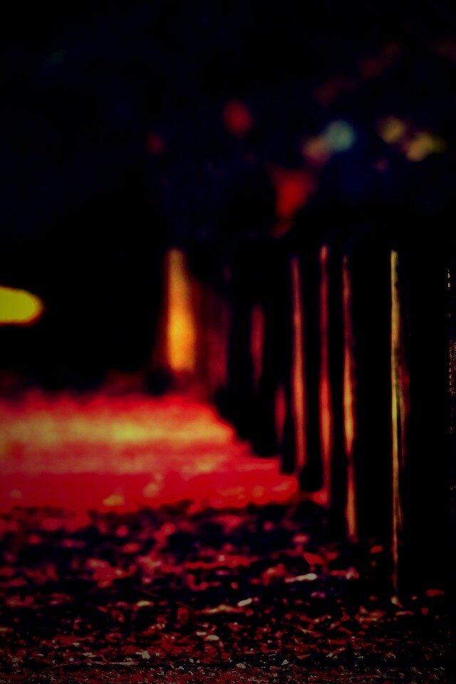 Аллея усеянная листвой обои