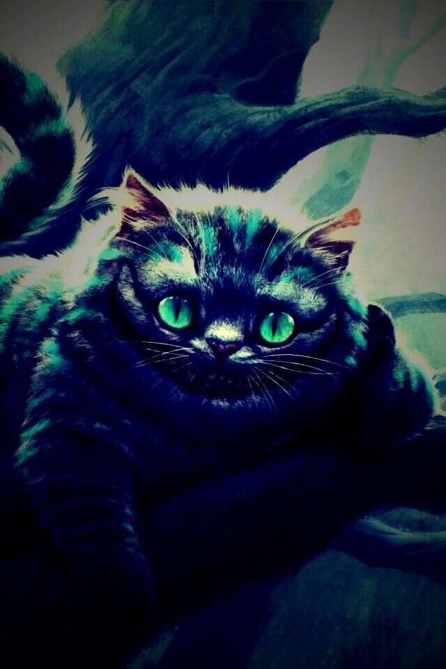 Чеширский кот обои