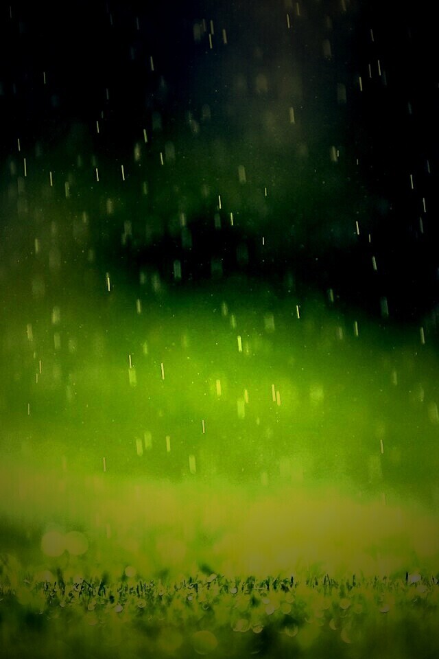 Трава под дождем обои