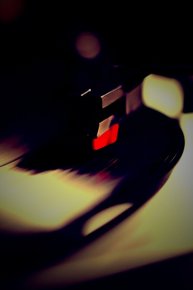 Пластинка обои