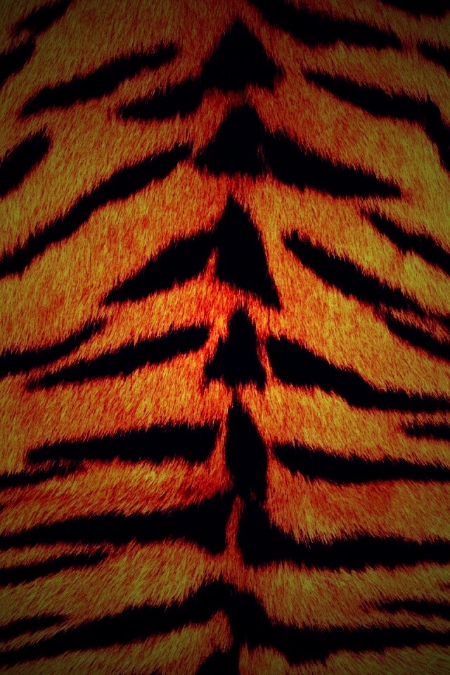 Тигриная шкура обои