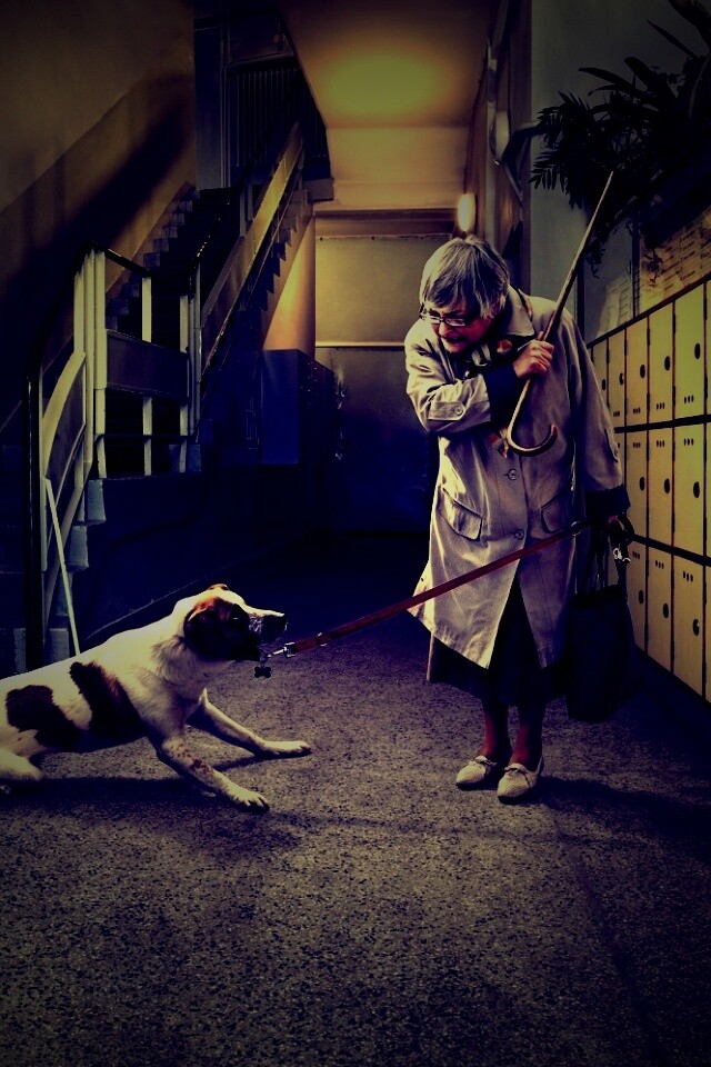 Непослушная собака обои