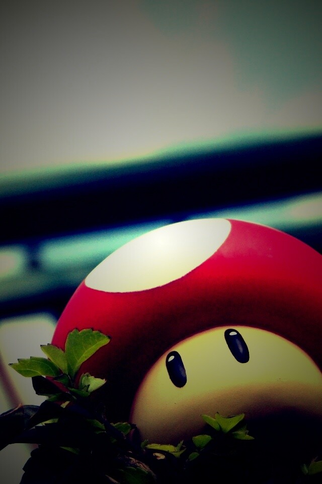 Гриб из Марио обои