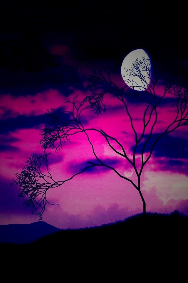 Фиолетовые небеса обои