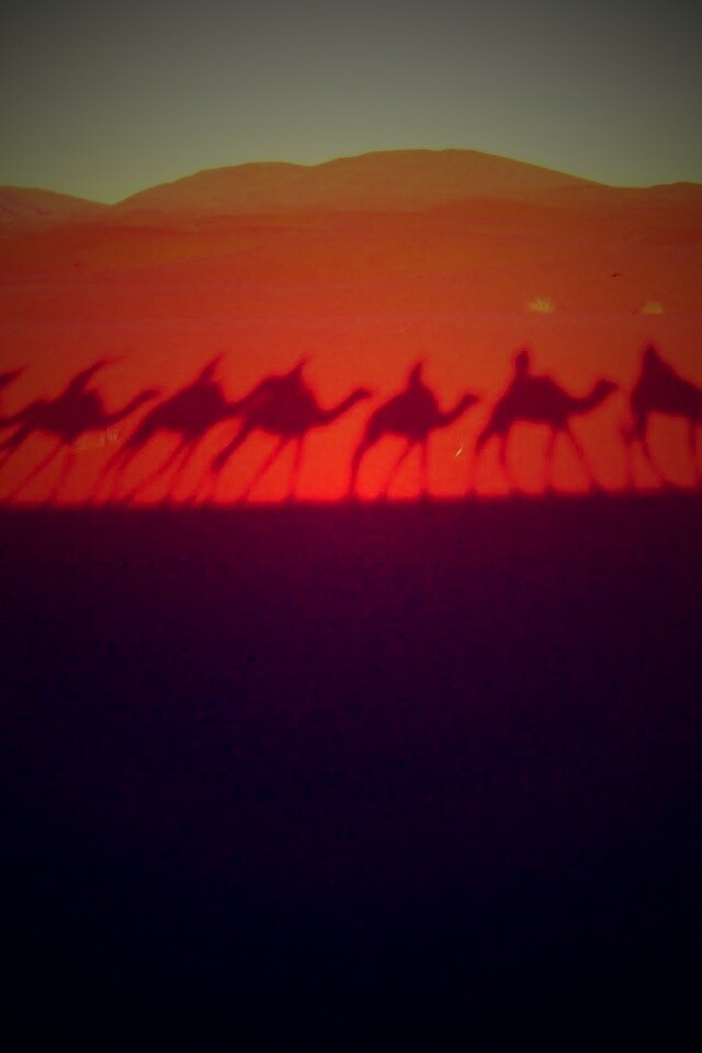 Караван обои