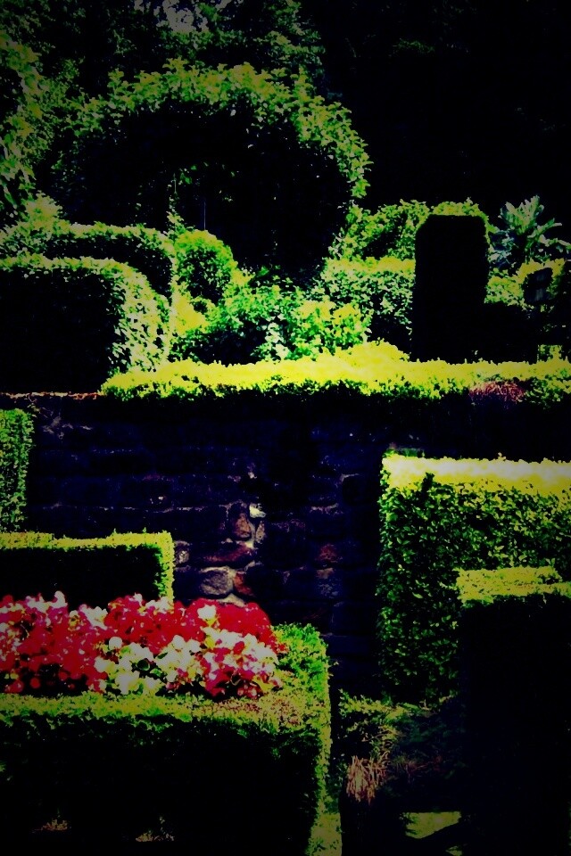 Декоративный сад обои