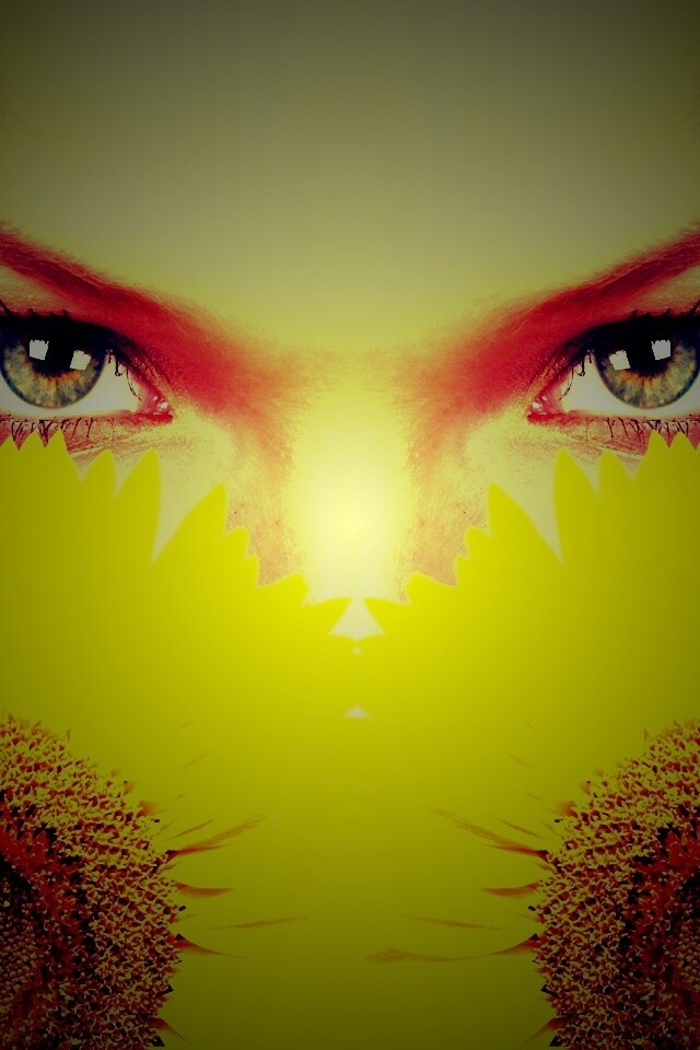 Девушка с желтыми ромашками обои