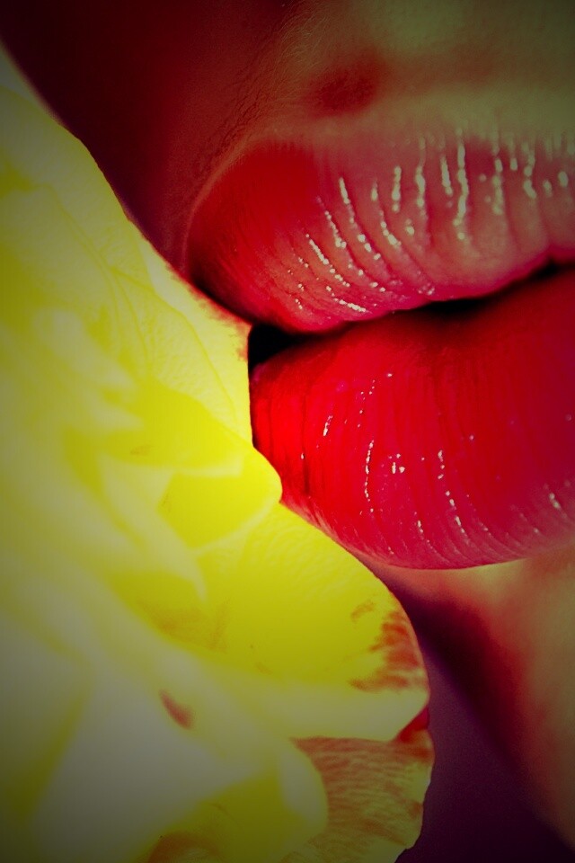 Губы девушки и роза обои