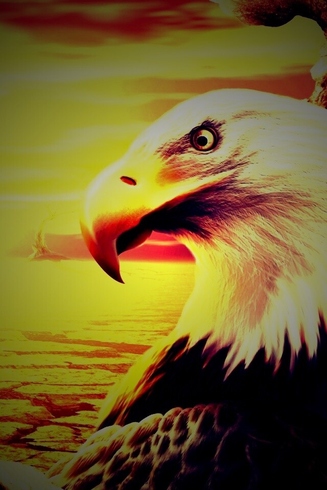 Нарисованный орел обои