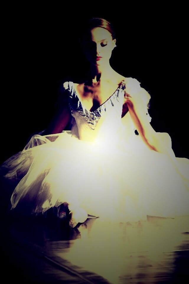 Черный лебедь обои