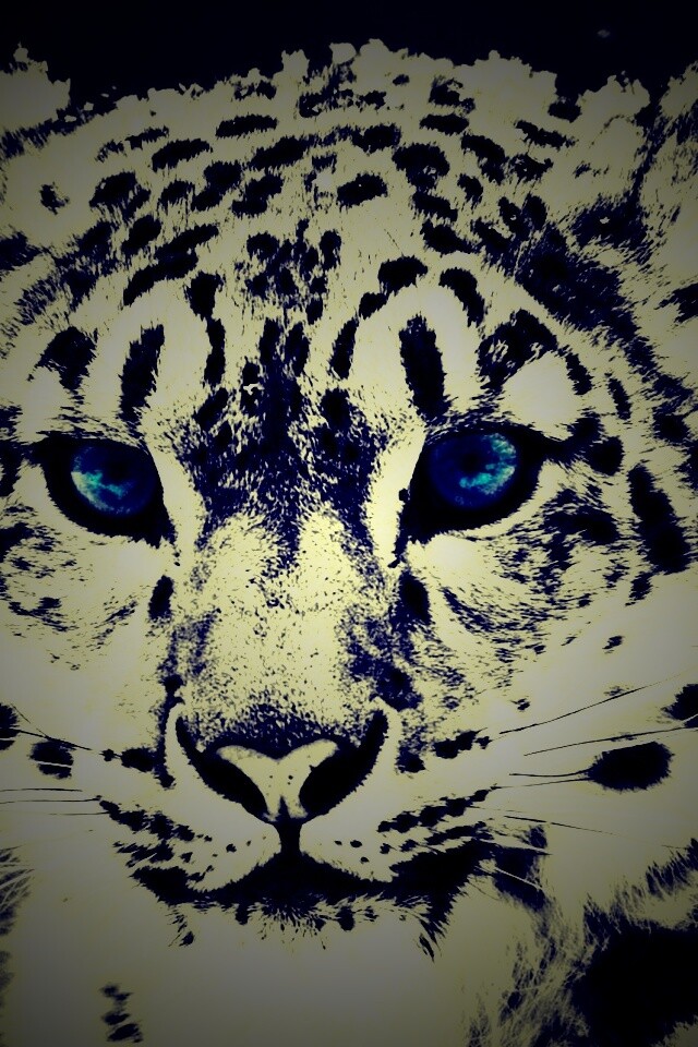 Снежный барс обои