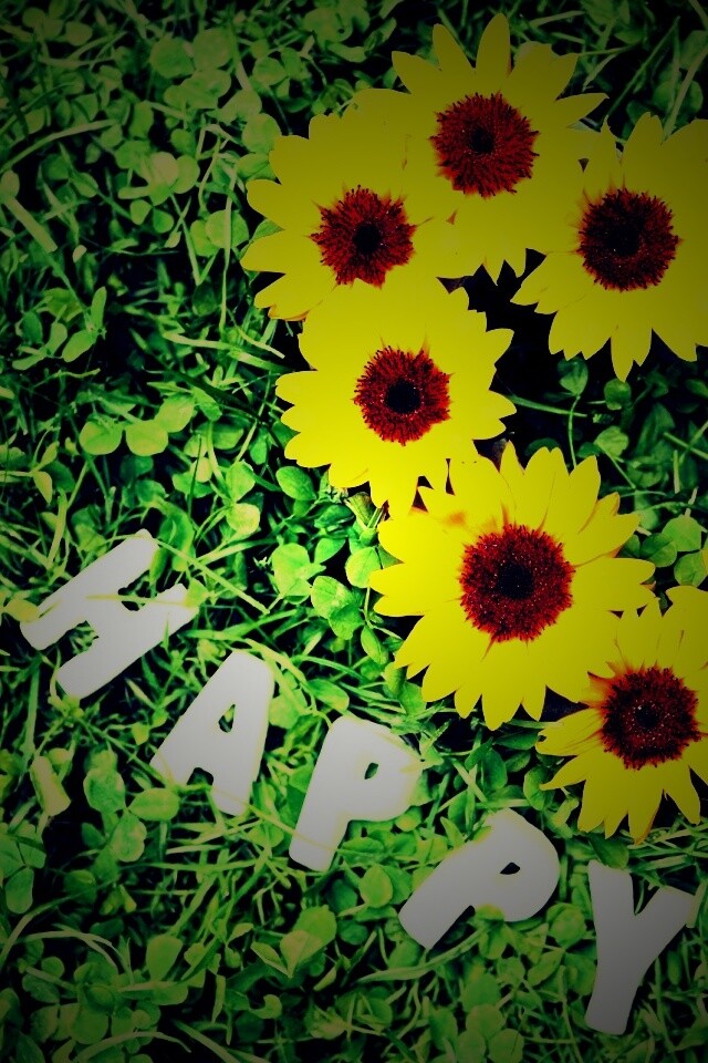 Радость обои