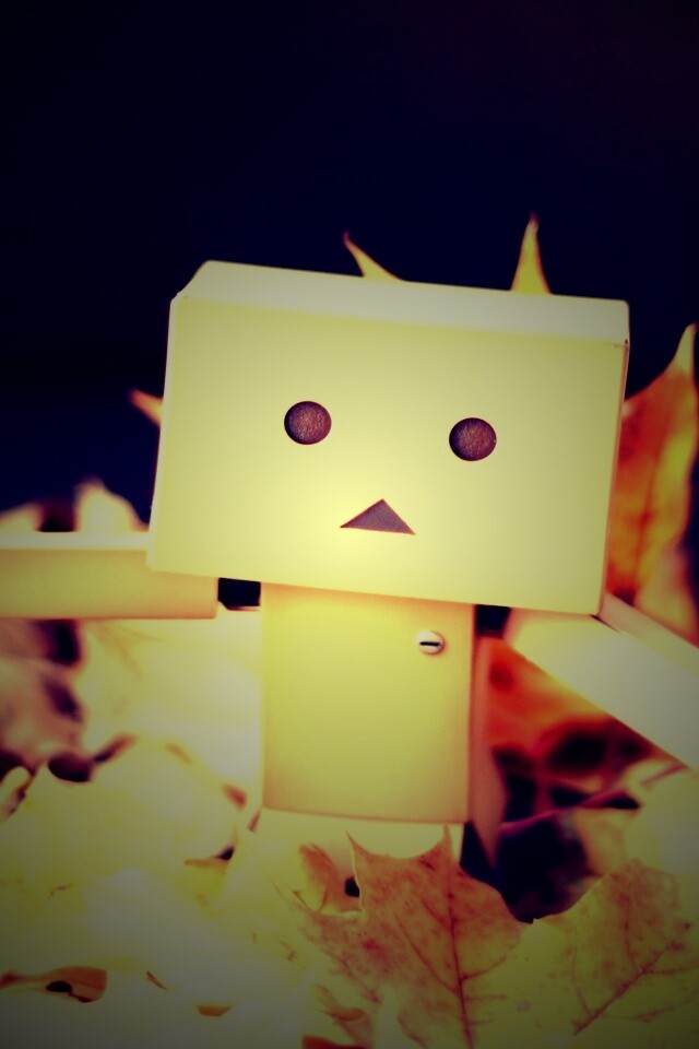  Yotsubato Danbo резвится листьях обои