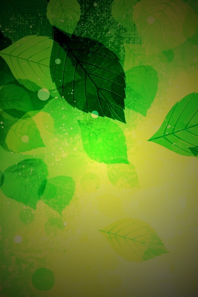 Прозрачные листья обои