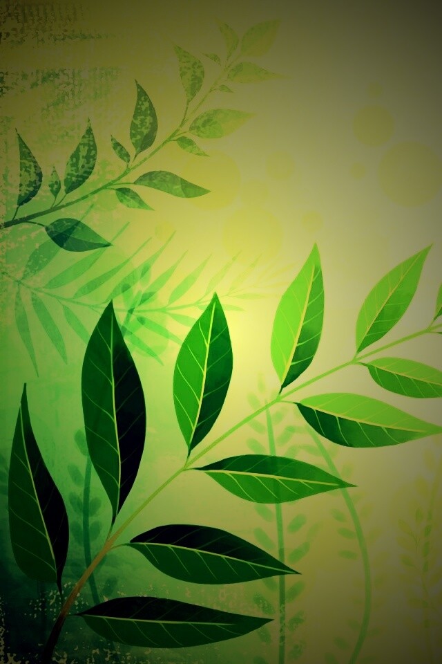 Веточка молодых листьев обои