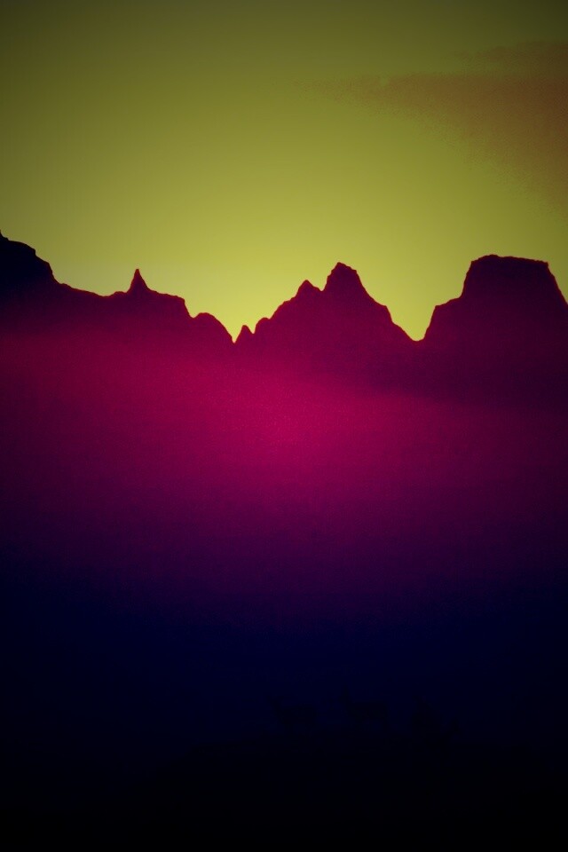 Вечер в национальном парке обои