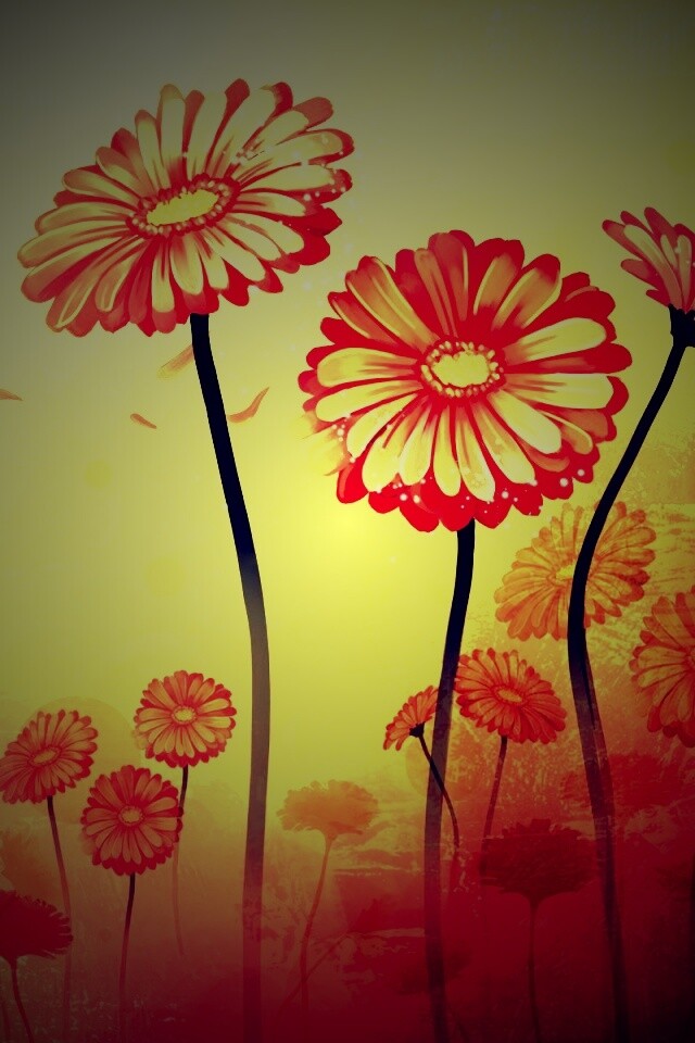 Векторные ромашки обои