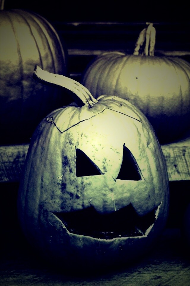 Тыквы на хэллоуин обои