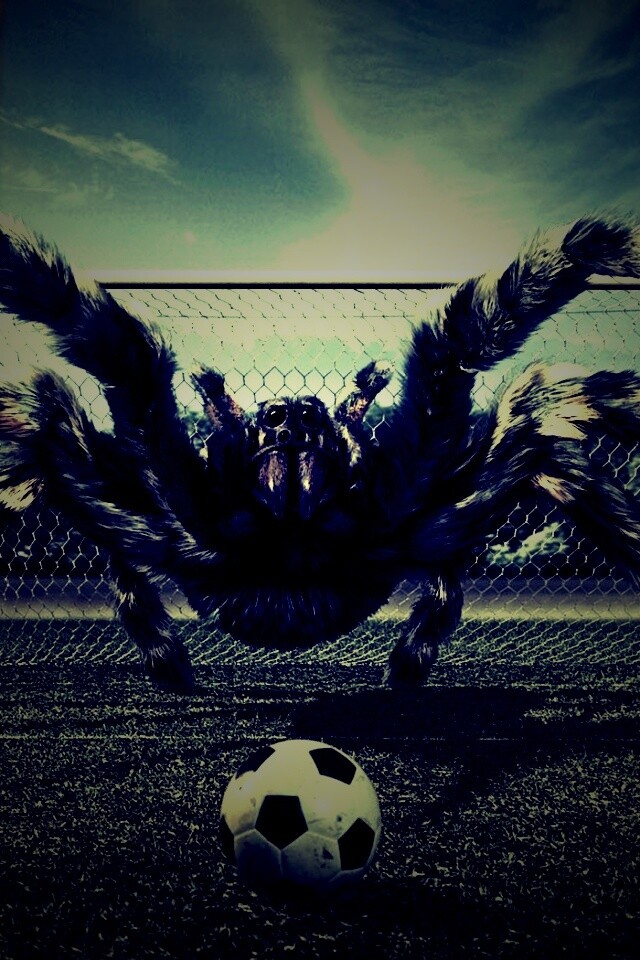 Вратарь обои