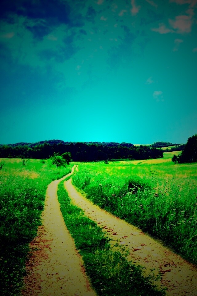 Дорога через луг обои