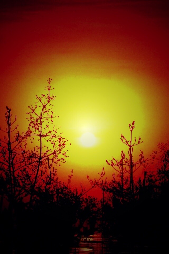 Доисторическое утро обои