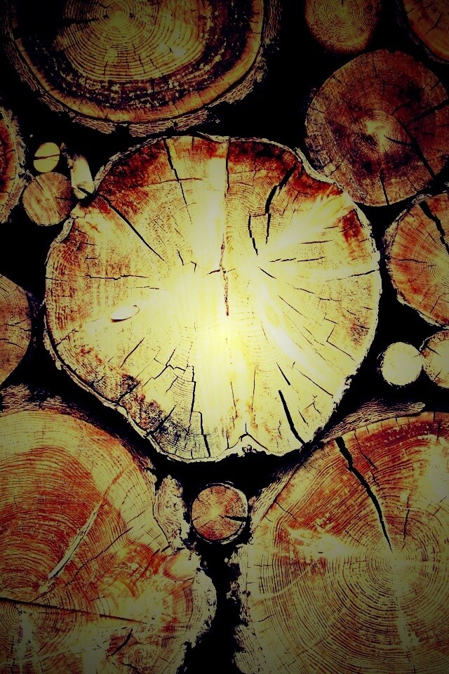 Древесный спил обои