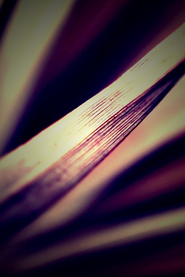 Сухое растение обои