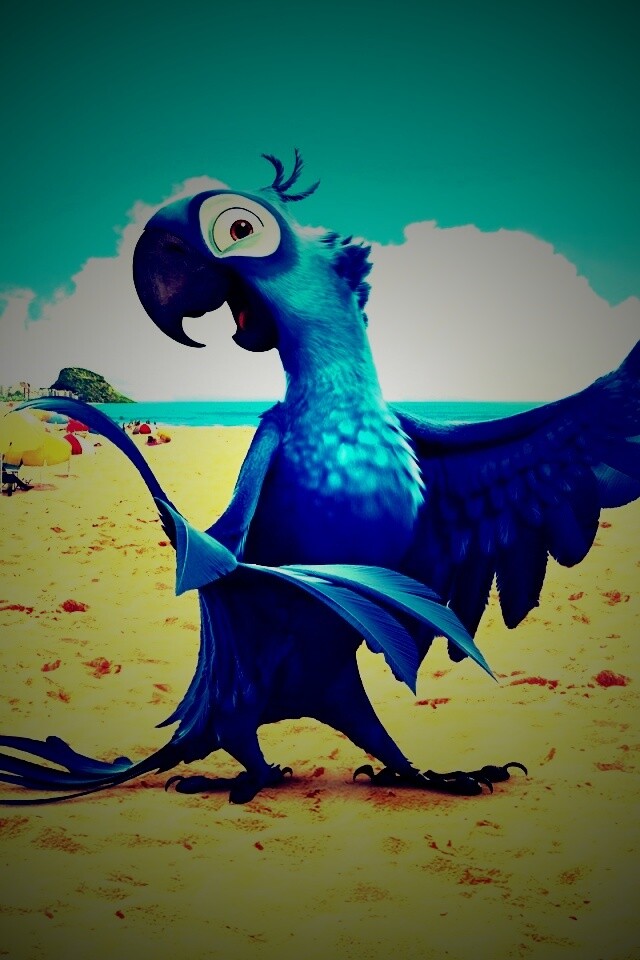 Blu из Rio обои